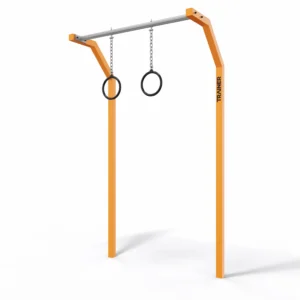 Calisthenics Equipment Gymnastics rIngs